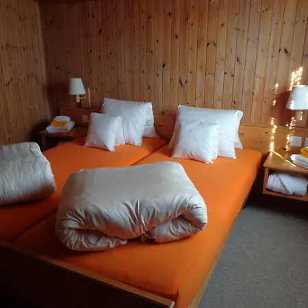 Guest house Surselva