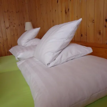 Guest house Surselva *