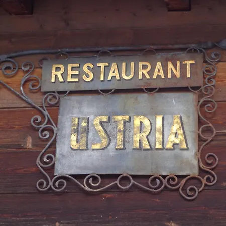 Surselva ゲストハウス *