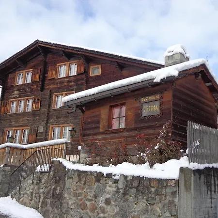 Surselva ゲストハウス