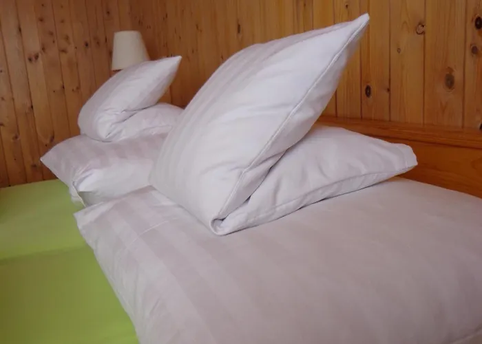 ゲストハウス Surselva *