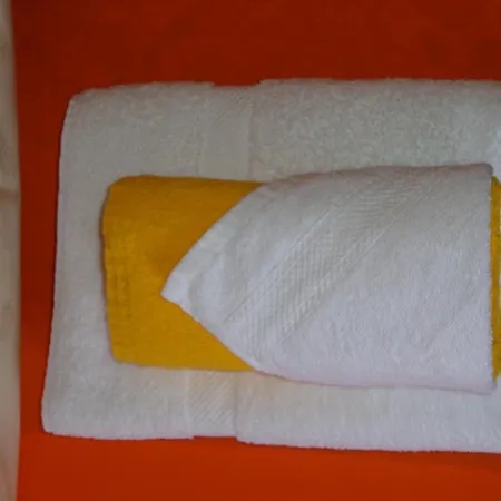 Surselva 게스트하우스 Breíl